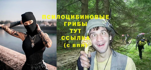 гашик Заводоуковск